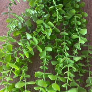 Planta Colgante Artificial Helen 95cm | Estética Boj de Tendencia