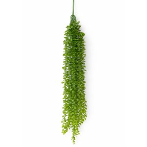 Plantas Colgantes